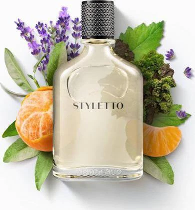 Perfume Styletto O Boticário 100 ml Masculino